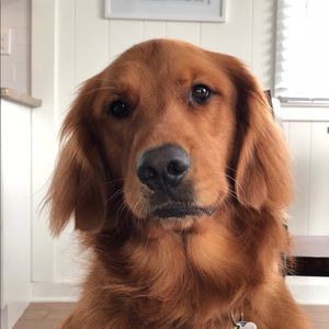 Meet your Posher, Dana